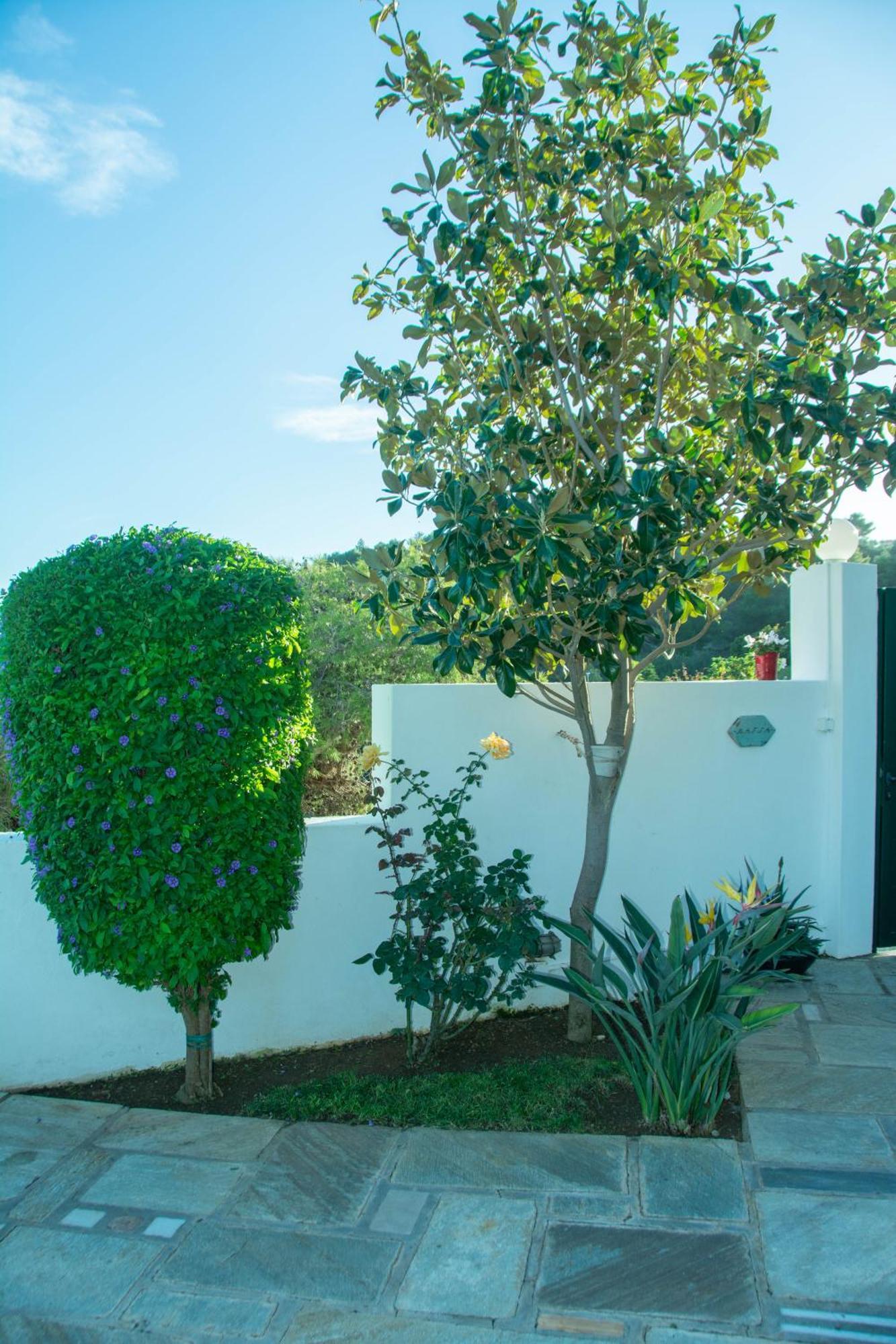 Maya'S Home Dhaskalion Dış mekan fotoğraf